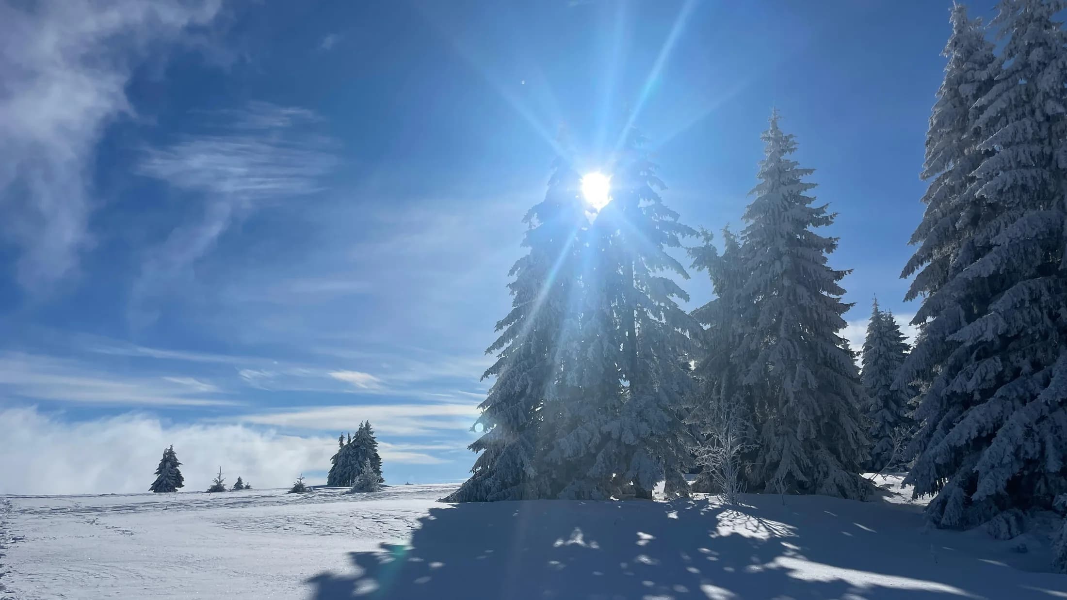 Schnee und Sonne auf der Golija · Topli Kutak Golija