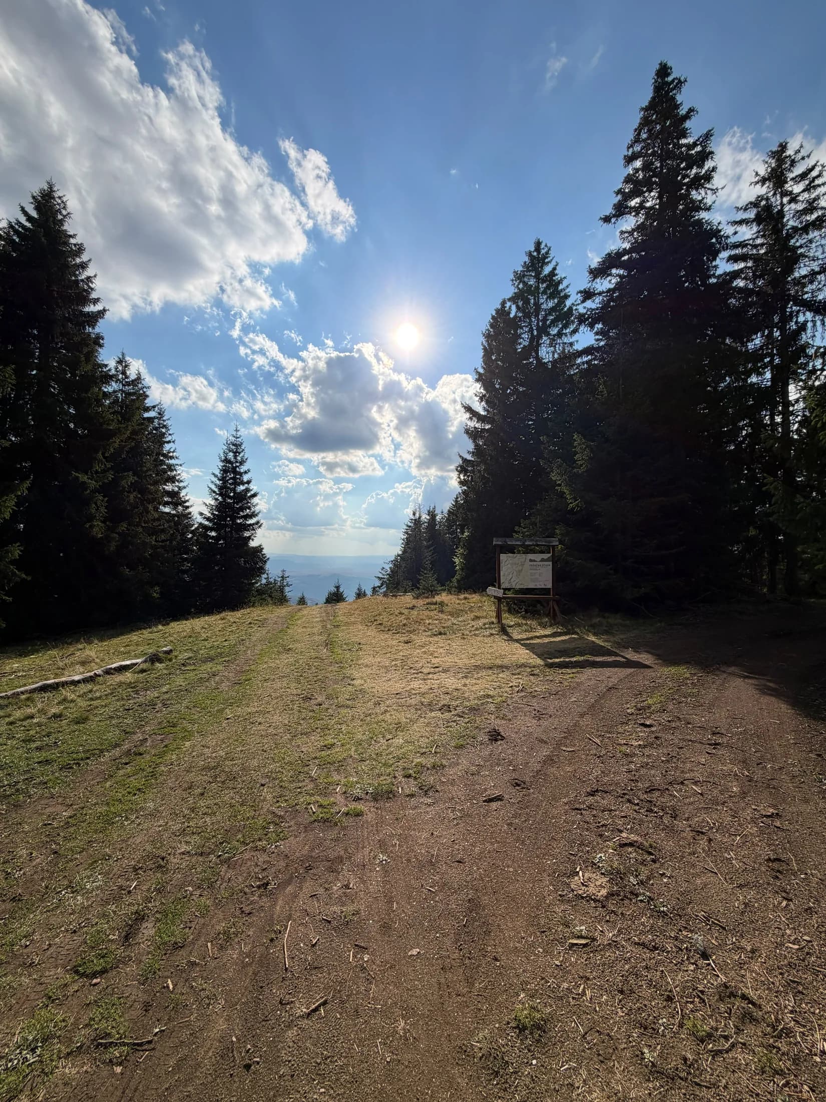 Waldweg auf der Golija · Topli Kutak Golija